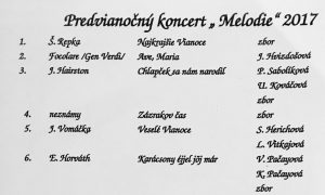 Programm des Konzertes