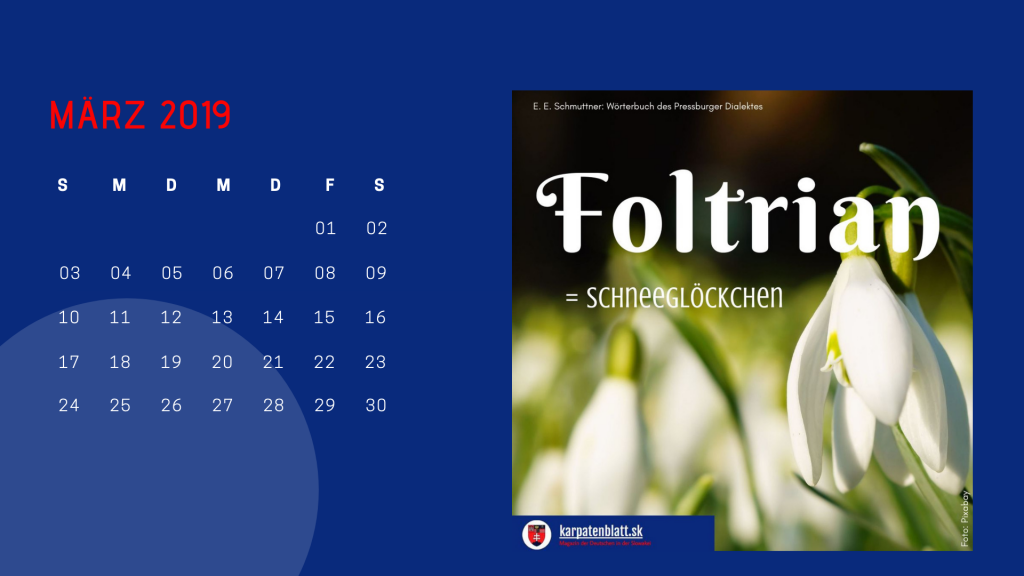 Karpatenblatt-Mundart-Kalender 2019