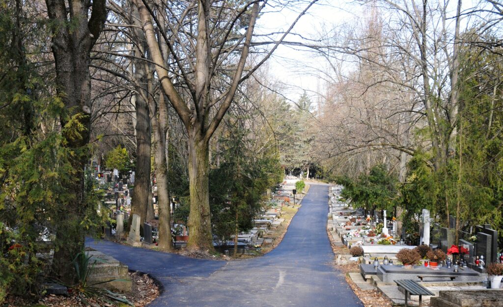 Blick auf den Friedhof