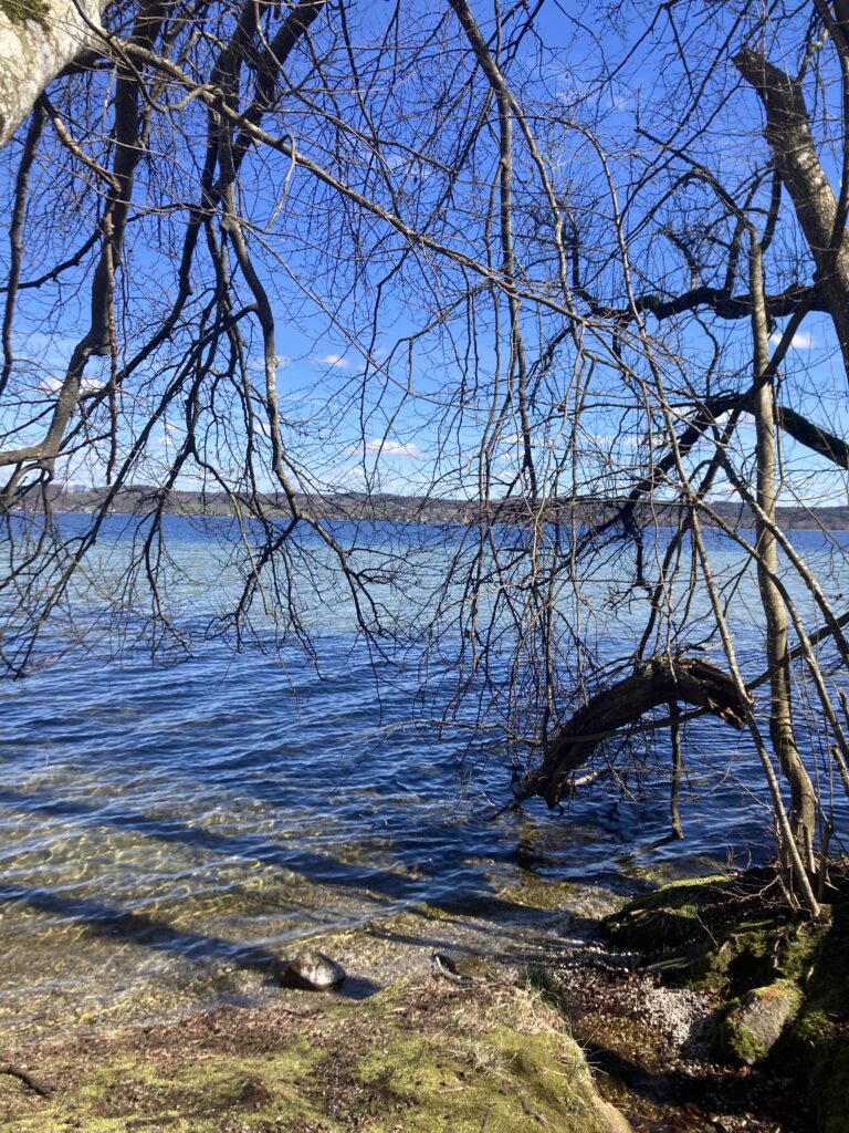 Der Starnberger See liegt direkt am Bildungszentrum St. Martin, was zum Flanieren in der Mittagspause einlädt.